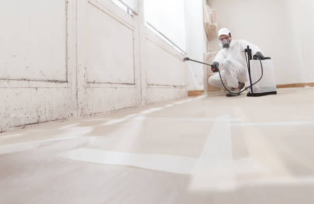 24/7 Emergency Mold Testing experts in Tarpon Springs, FL